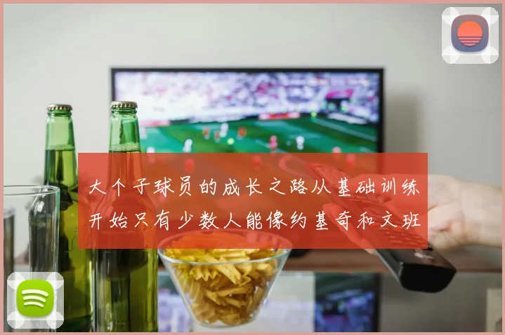 大个子球员的成长之路从基础训练开始只有少数人能像约基奇和文班那样成功
