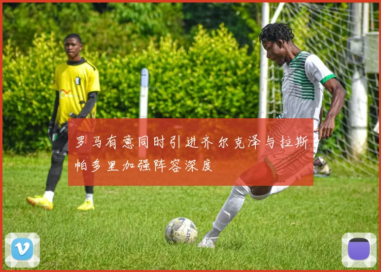 罗马有意同时引进齐尔克泽与拉斯帕多里加强阵容深度