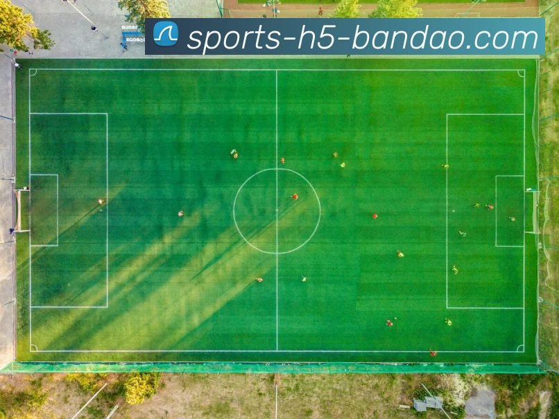 半岛体育平台生态图